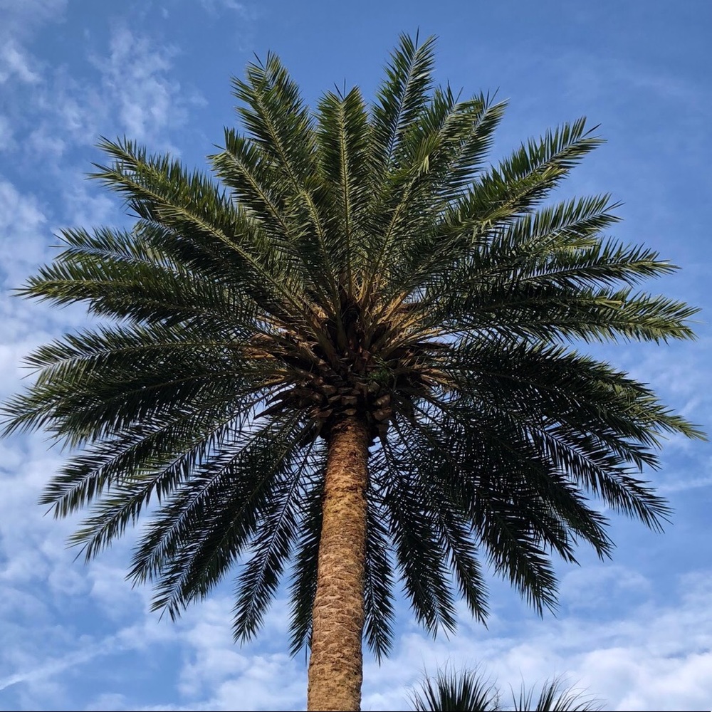 Meet your Posher, Michele